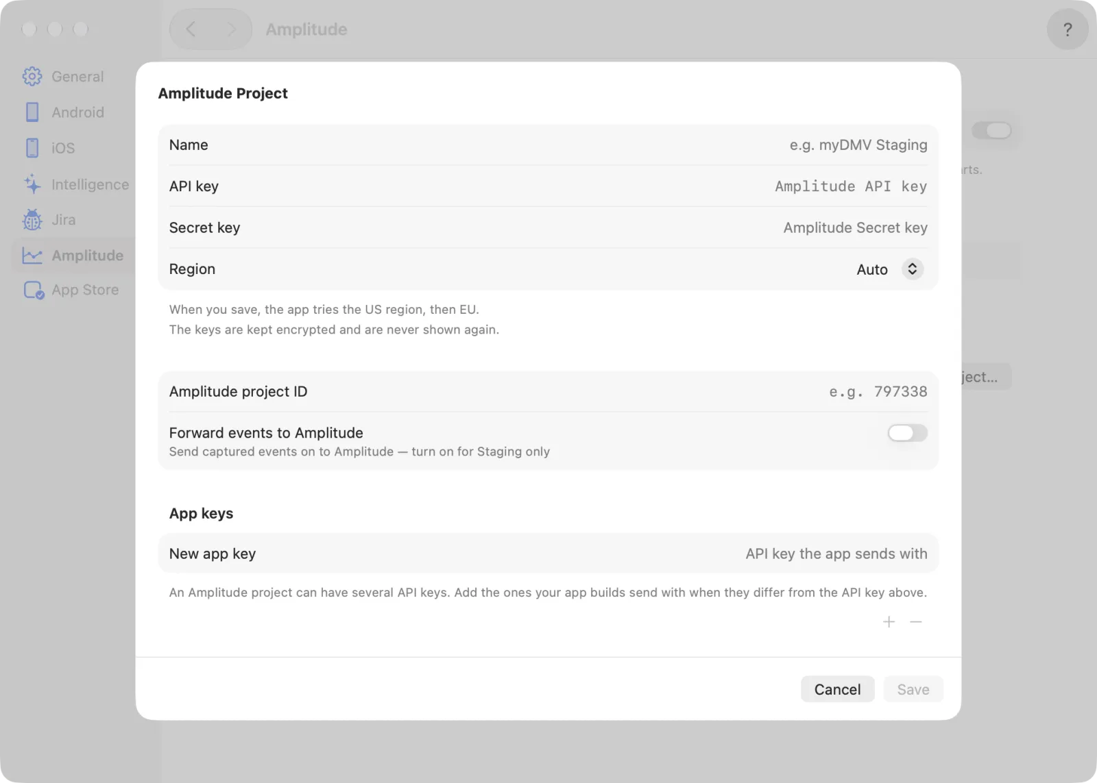 The project form: name, keys, region, Amplitude project ID, forward and app keys